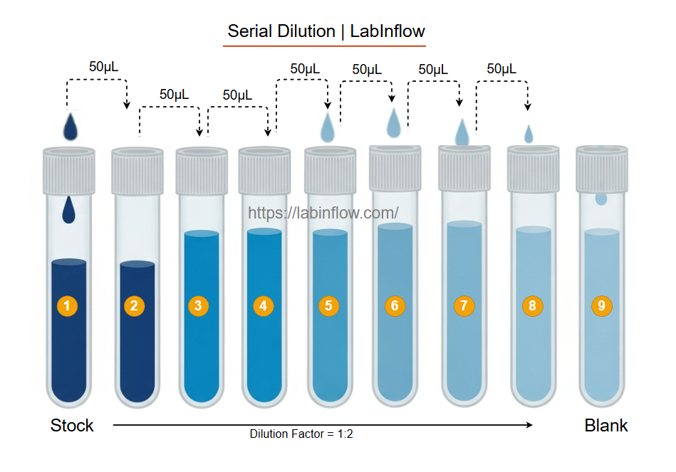 How to Perform Serial Dilution for ELISA